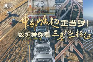 骑绿主裁：塔图姆踢腿引发对抗 所以改判 踢腿属于轻微所以不犯规